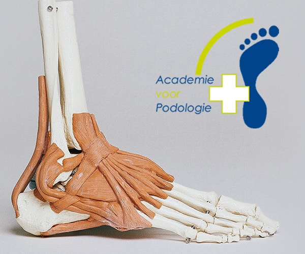 logo van academie podologie met een voet van skelet