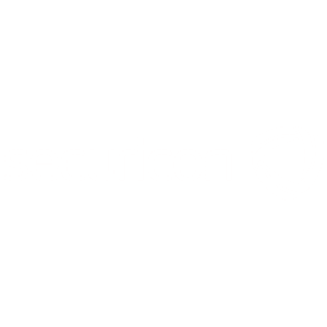 securicon