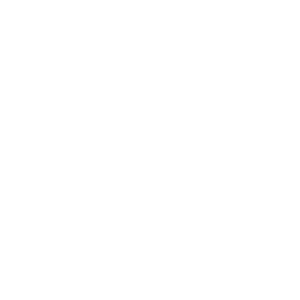 stichting de dappere strijder